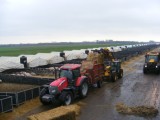 Illustrated machine bedding 60 large hestons every day. Reliably servicing some of the largest pig units in Europe.